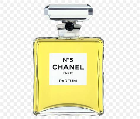 ambergris in chanel no 5